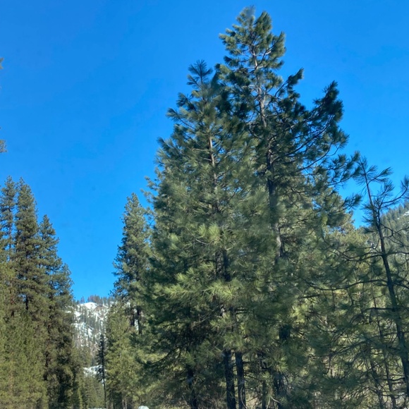 Meet your Posher, Hanna - Picture 2 of 2